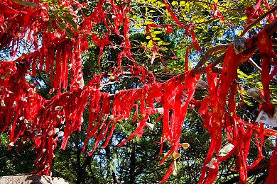 《瘟疫传说：无罪》Steam新史低促销 仅售31元