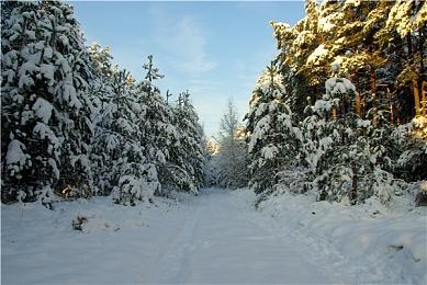 樱井政博谈游戏难度设计：应该把握微妙平衡