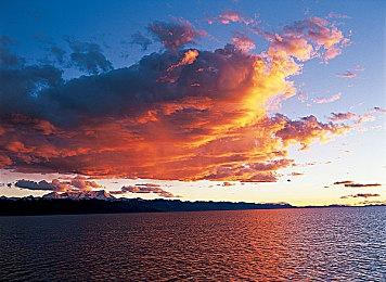 《坦克世界》创意总监发表挺俄言论 随后被公司解雇